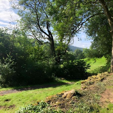 The Spring Slad Valley Cotswolds Painswick Extérieur photo