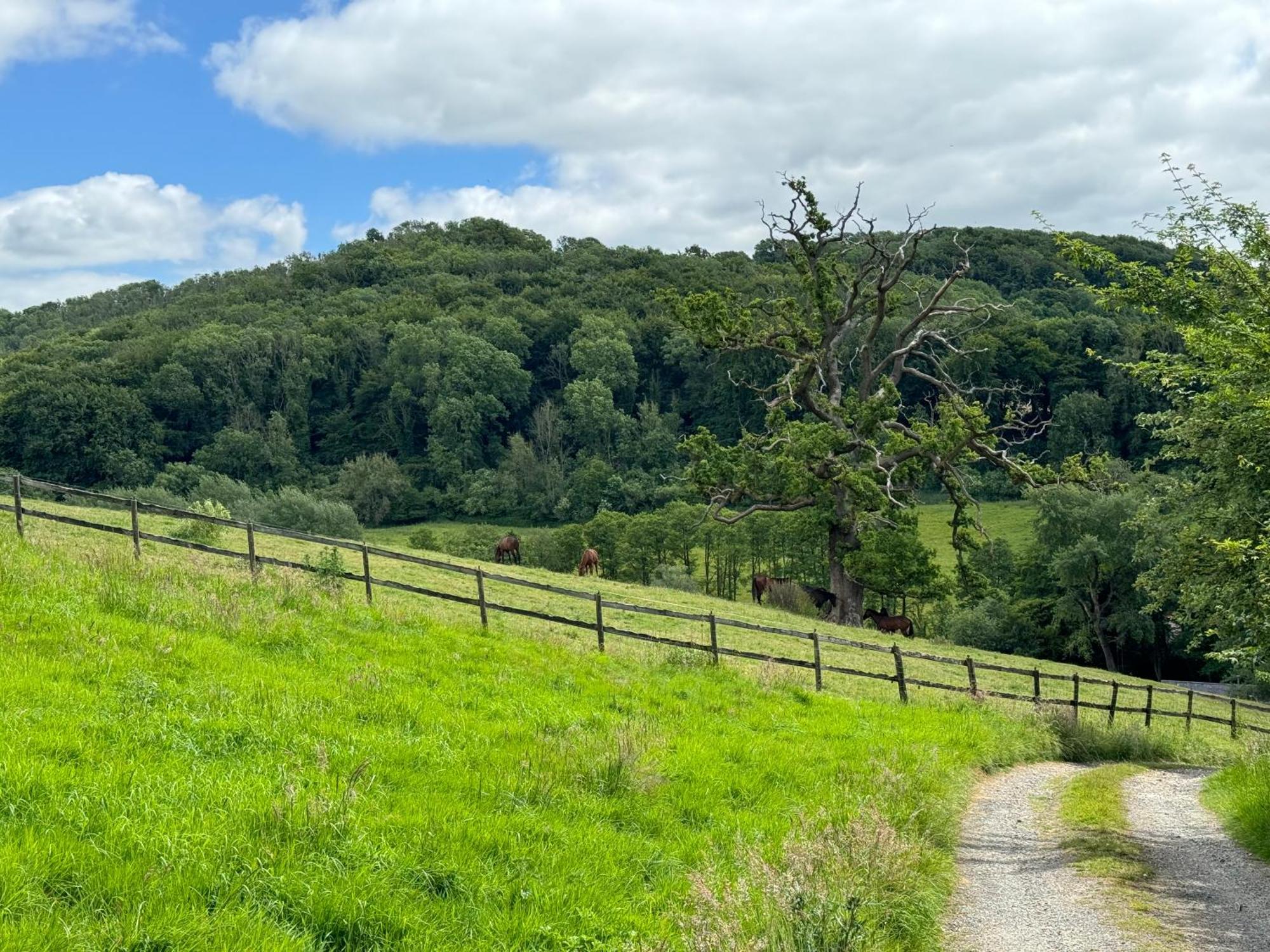 The Spring Slad Valley Cotswolds Painswick Extérieur photo